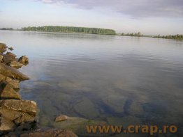 Regulamentul calificarilor pentru echipa nationala a Romaniei